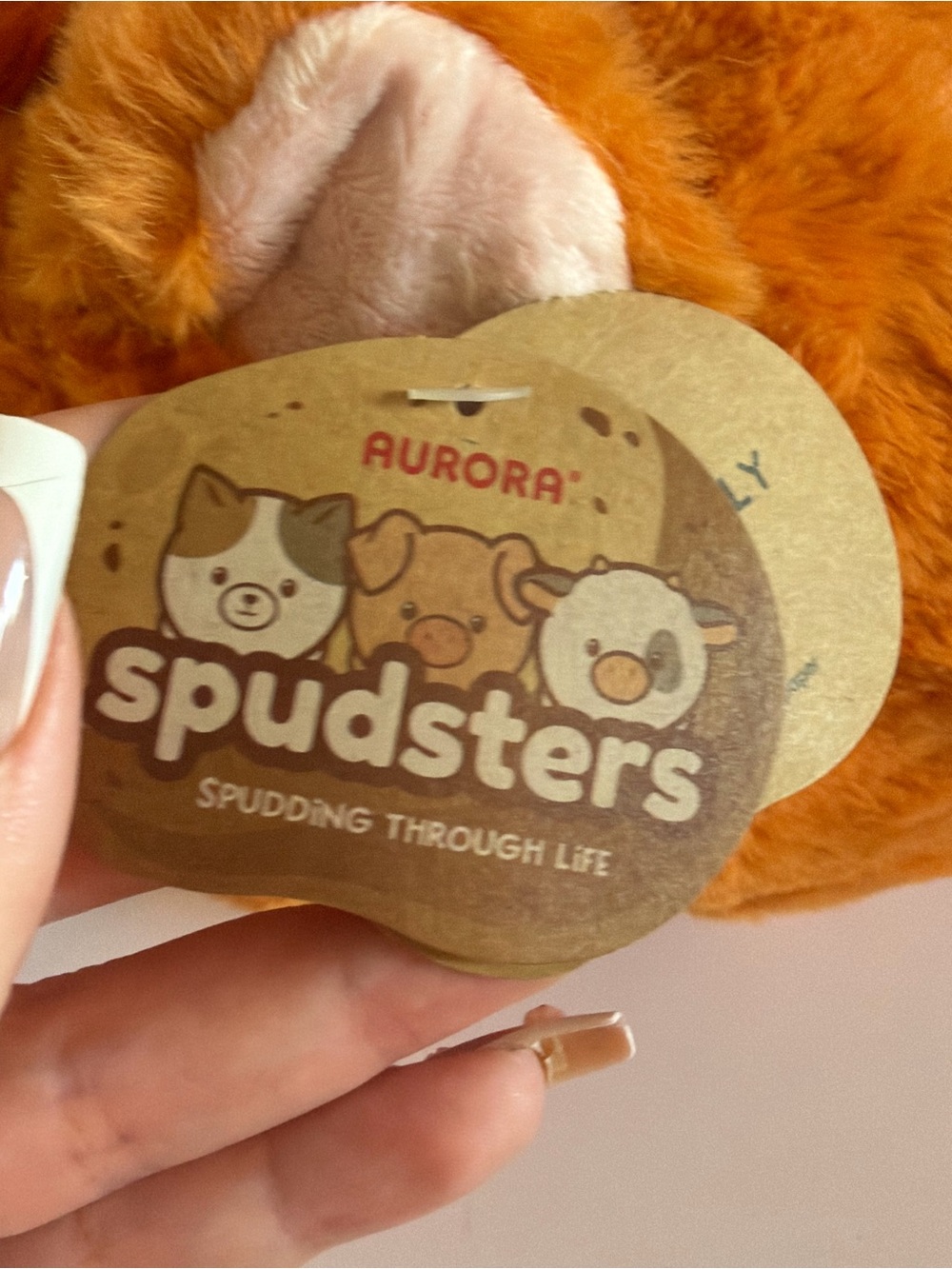 BNWT Aurora spudsters highland cow plush - Picture 2 of 5